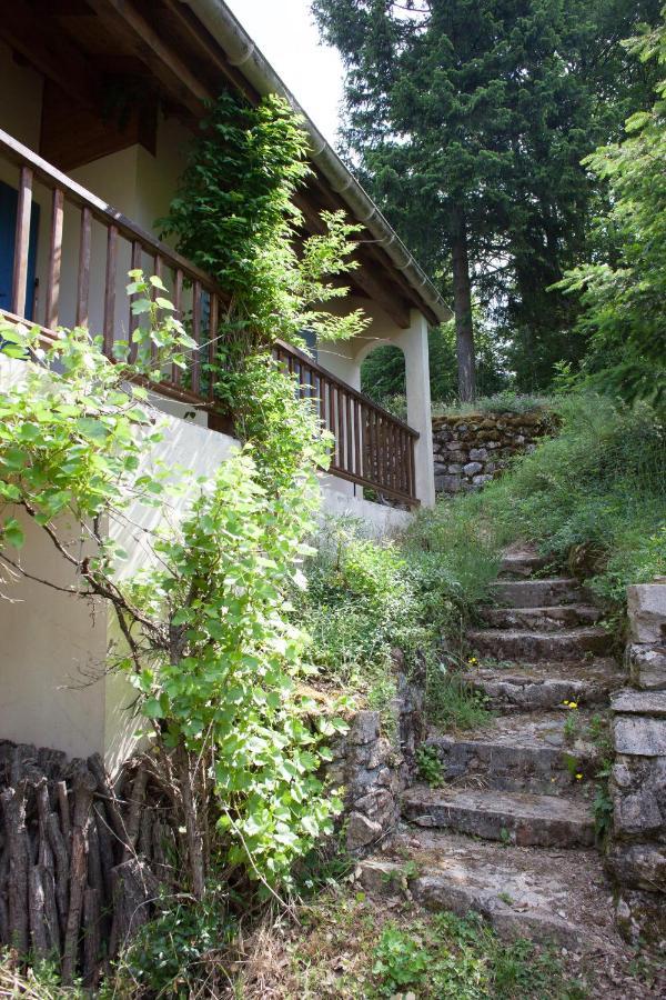 Villa Domaine Liberté avec prairie et forêt au bord d'une rivière en Ardèche Silhac Extérieur photo