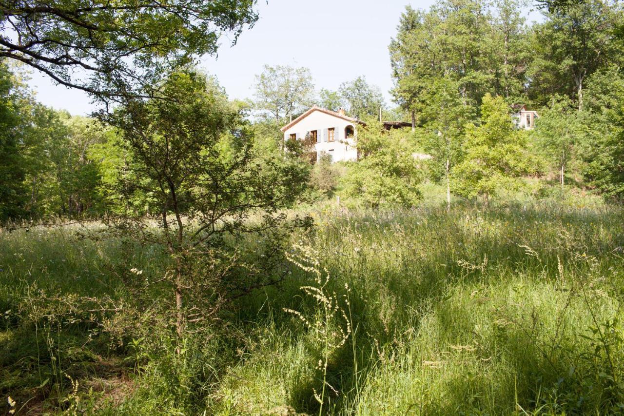 Villa Domaine Liberté avec prairie et forêt au bord d'une rivière en Ardèche Silhac Extérieur photo