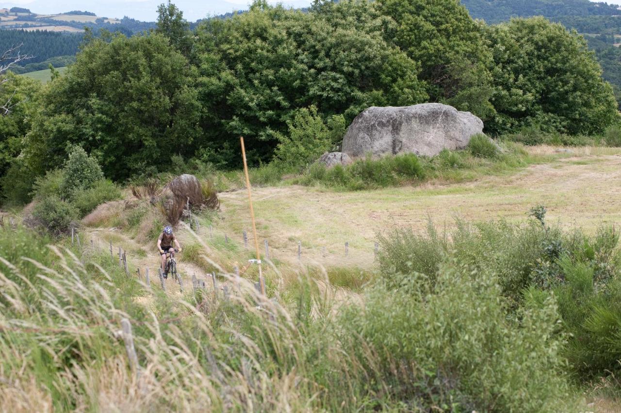 Villa Domaine Liberté avec prairie et forêt au bord d'une rivière en Ardèche Silhac Extérieur photo